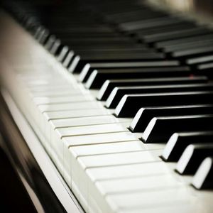 曹逼视频在线观看
