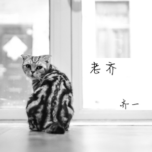 曹逼视频在线观看
